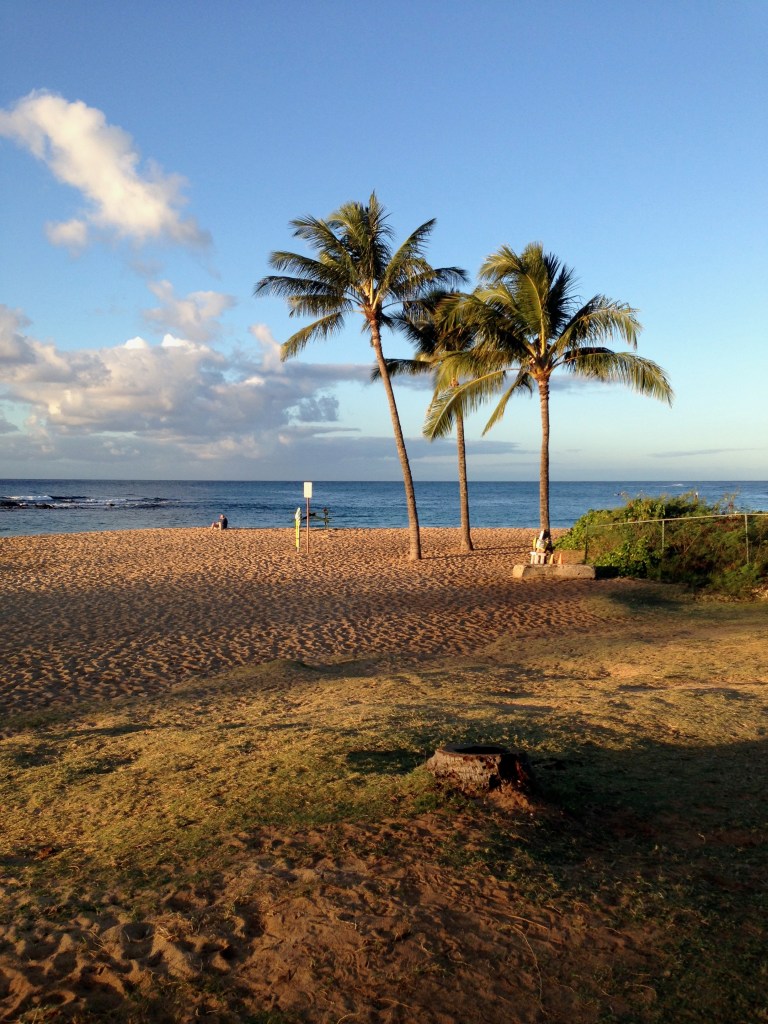 The sign says that if you swim, you'll be carried away by the currents and there will be nobody to help.